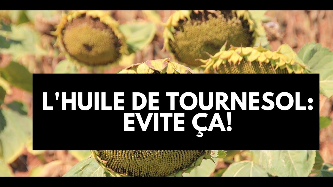 Pourquoi il faut éviter l'huile de tournesol?